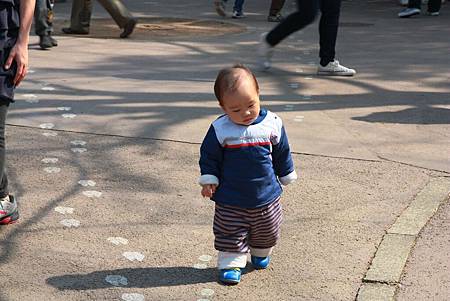 IMG_6927s.jpg IMG_6927s.jpg