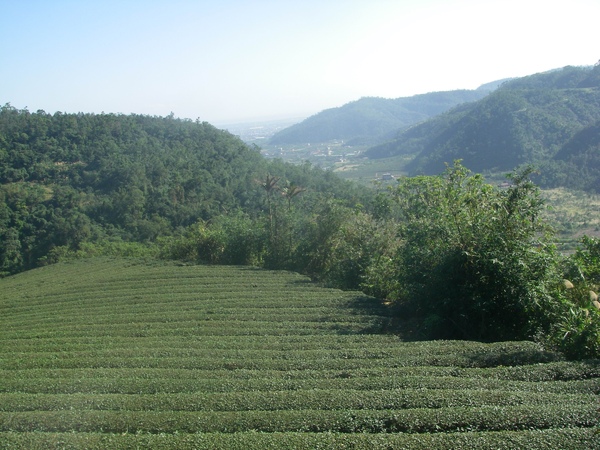 香格里拉