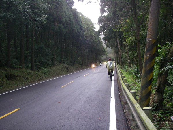 北宜公路--北區育苗中心