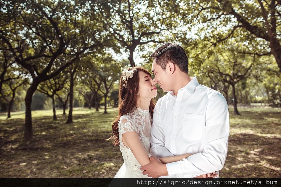 535078_10152928788504058_7602923661828161441_n.jpg 535078_10152928788504058_7602923661828161441_n.jpg