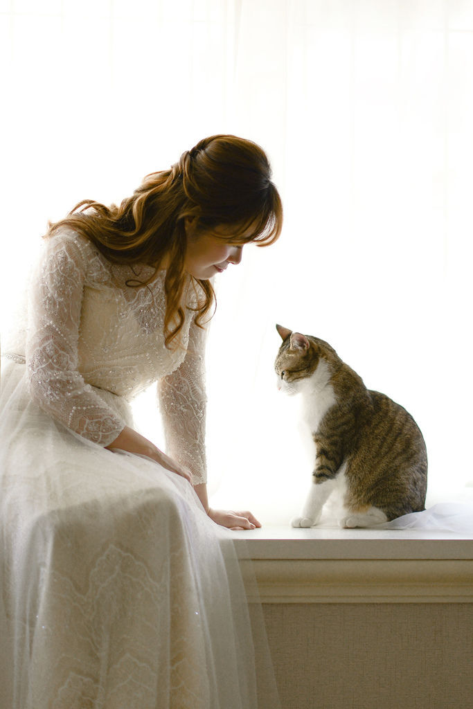 琪琪小姐 貓咪輕婚紗 琪琪小姐 貓咪輕婚紗
