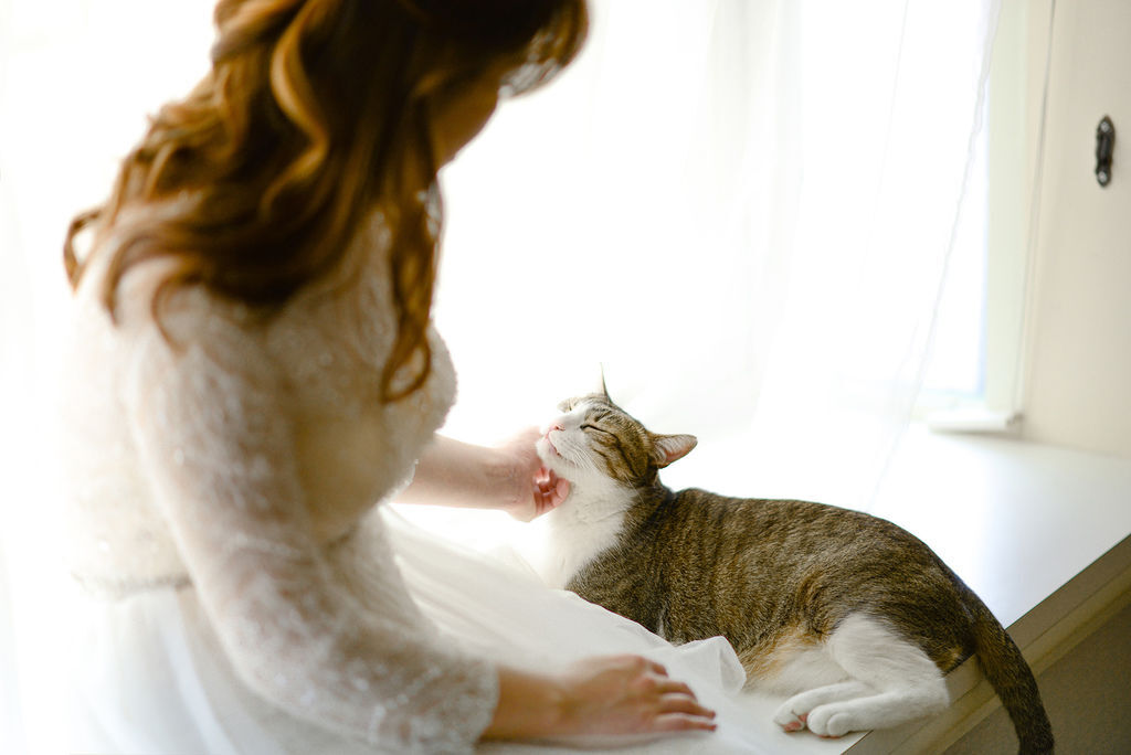 20170408-SIG_4929.jpg 20170408-SIG_4929.jpg