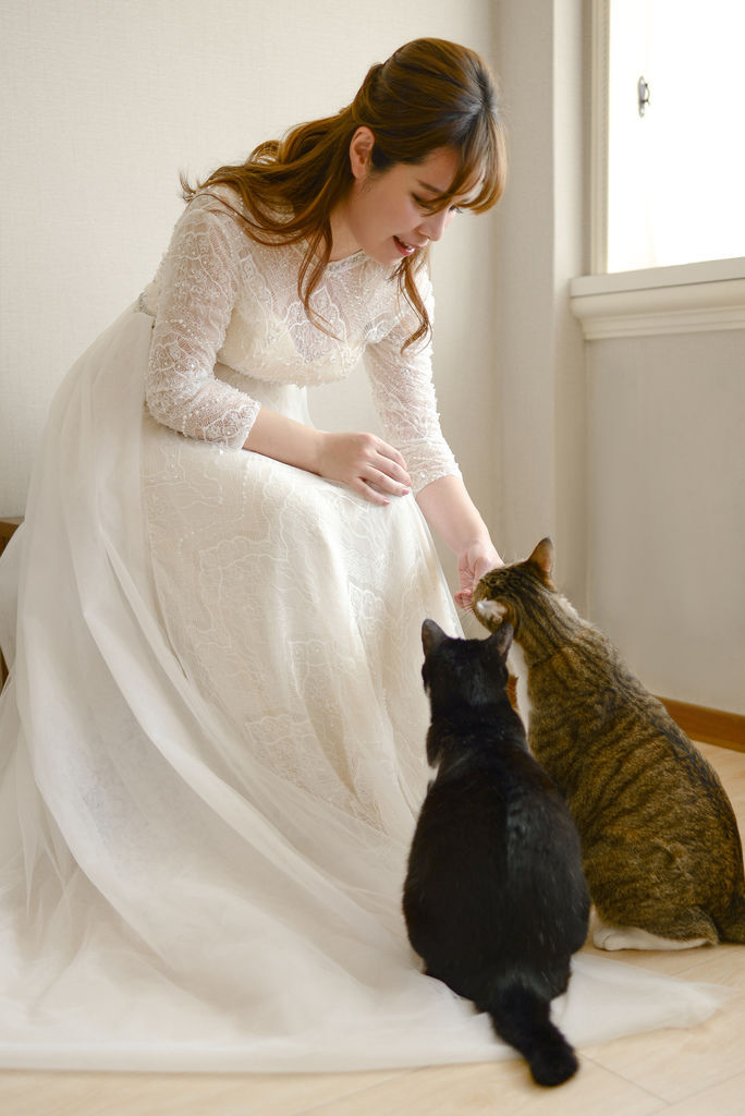 琪琪小姐 貓咪輕婚紗 琪琪小姐 貓咪輕婚紗