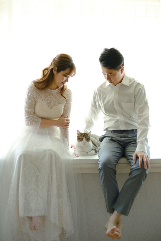 琪琪小姐 貓咪 輕婚紗 琪琪小姐 貓咪 輕婚紗