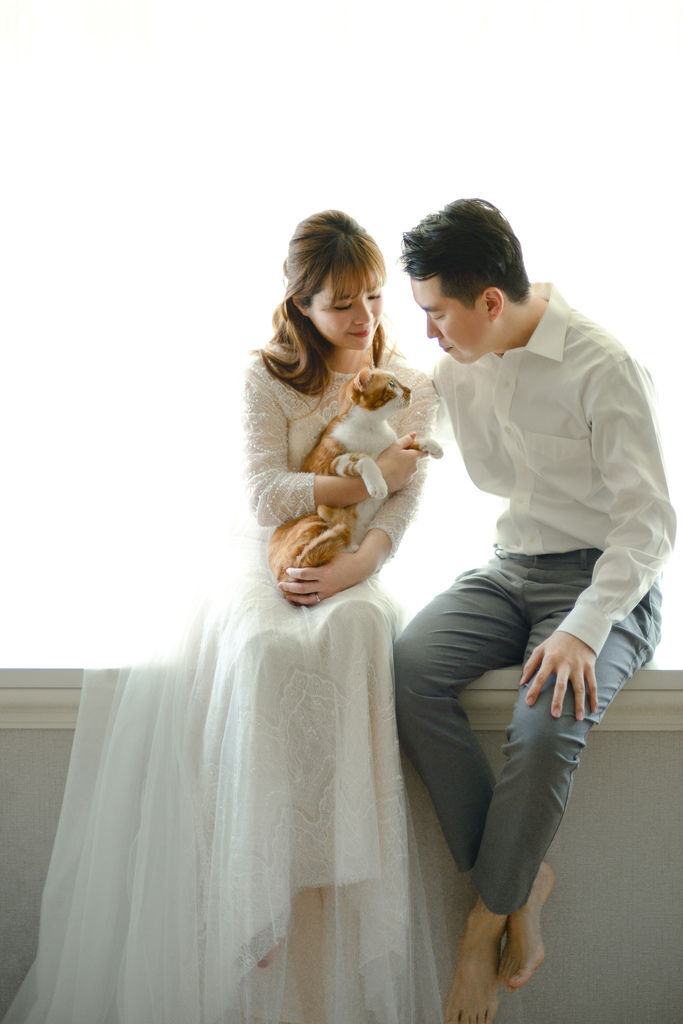 琪琪小姐 貓咪 輕婚紗 琪琪小姐 貓咪 輕婚紗