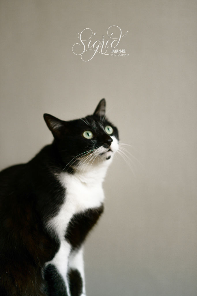 20170408-SIG_4954.jpg 20170408-SIG_4954.jpg