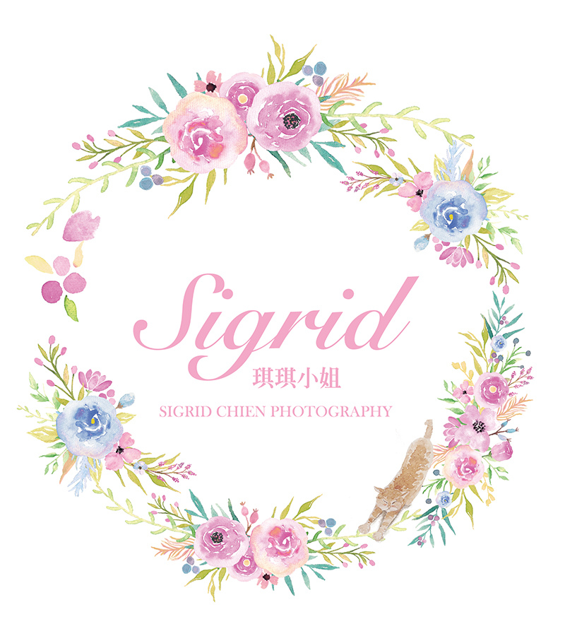 琪琪小姐 logo 琪琪小姐 logo