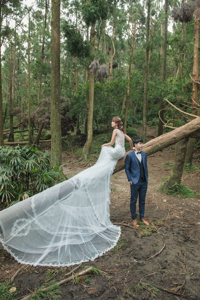 20161028-SIG_6204.jpg 20161028-SIG_6204.jpg