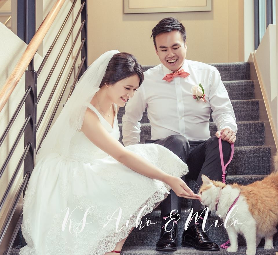 婚攝琪琪小姐 西雅圖 海外婚紗 貓咪婚紗 婚攝琪琪小姐 西雅圖 海外婚紗 貓咪婚紗
