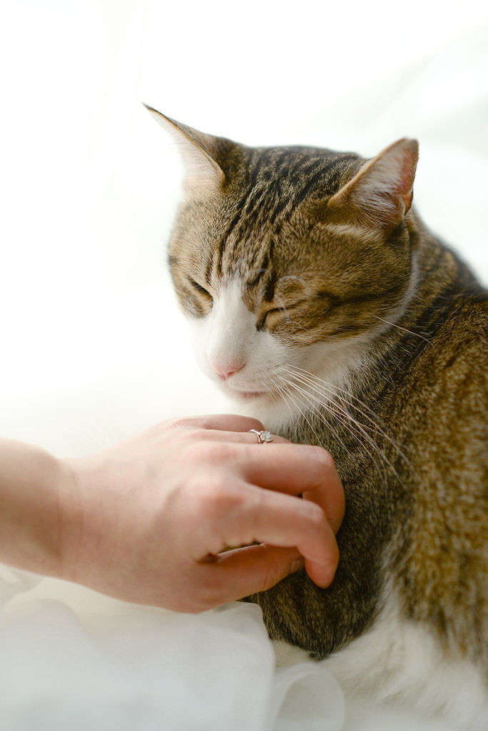 20170408-SIG_4946.jpg 20170408-SIG_4946.jpg