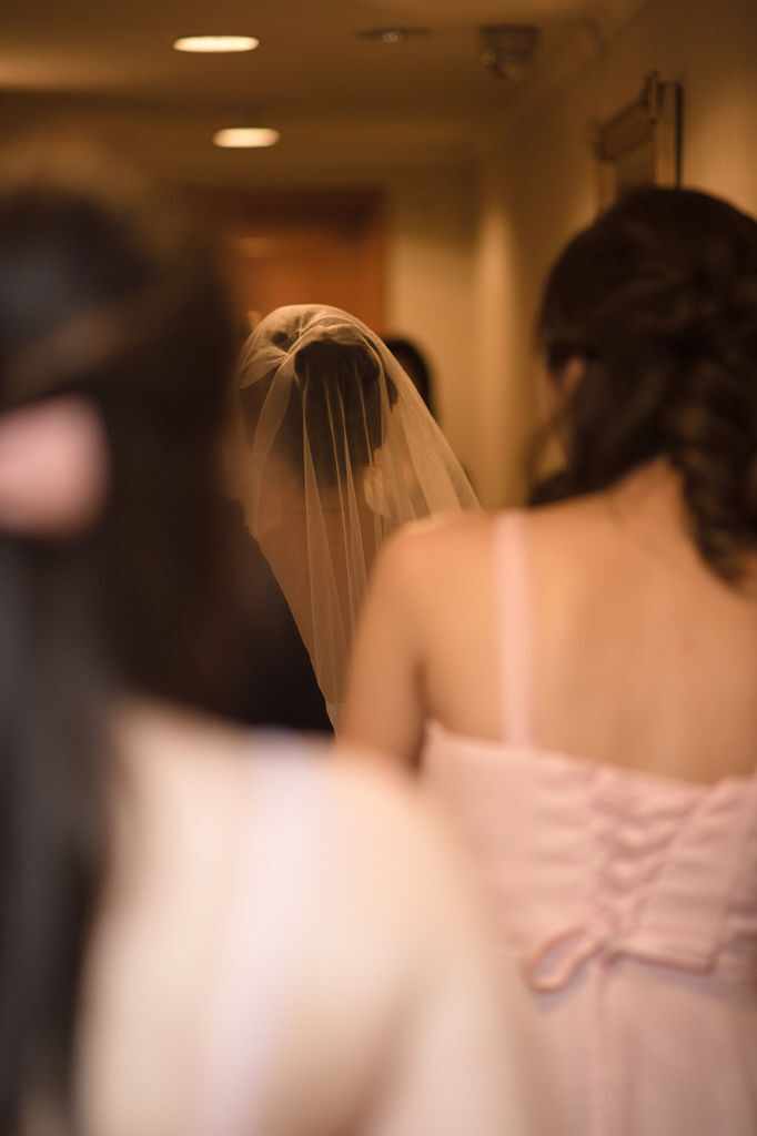 20161224-SIG_0105.jpg 20161224-SIG_0105.jpg