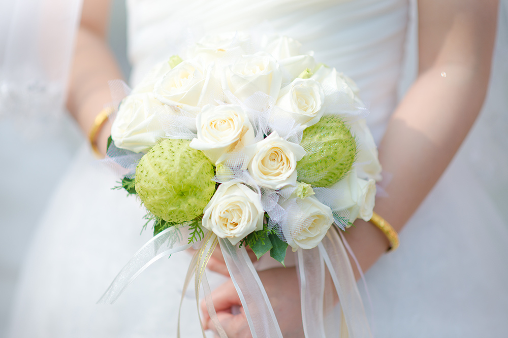 20161224-SIG_0293.jpg 20161224-SIG_0293.jpg