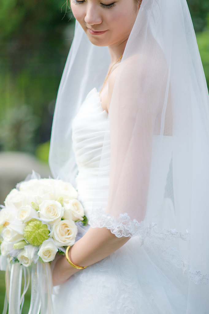 20161224-SIG_0294.jpg 20161224-SIG_0294.jpg