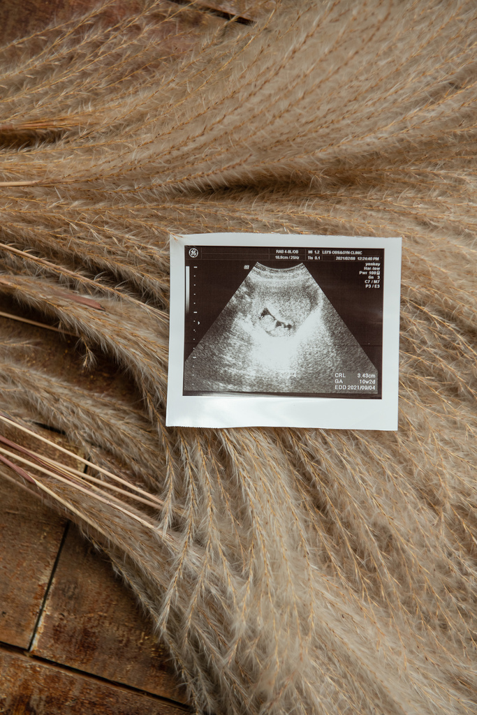 琪琪小姐孕婦寫真 jenny 琪琪小姐孕婦寫真 jenny