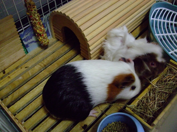 照片 033.jpg 照片 033.jpg