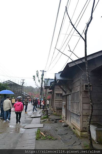 【單眼攝影】懷念霧峰事件，《賽德克．巴萊》電影拍攝場地2011攝12