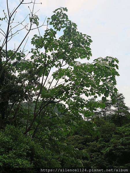 暖東峽谷,基隆,幻想的模子