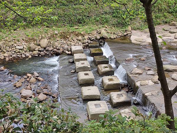 新北汐止賞櫻大道