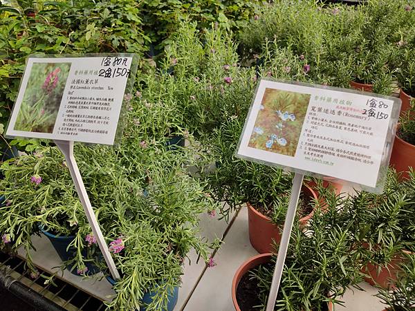 天御花園