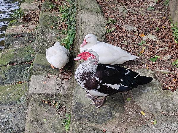 基隆情人湖公園