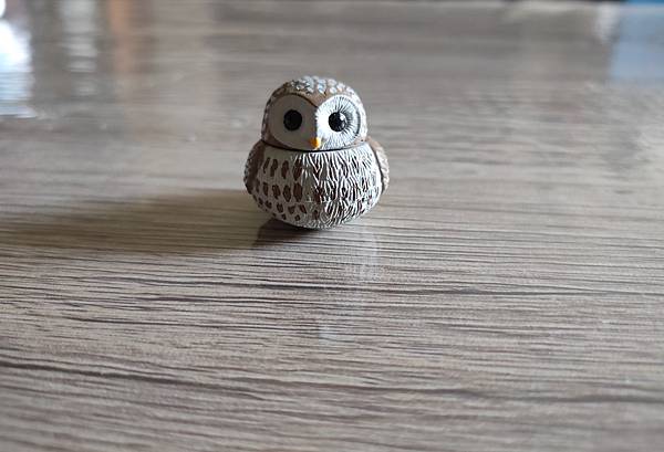 日本 貓頭鷹 扭蛋