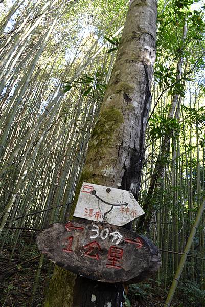 新竹 司馬庫斯