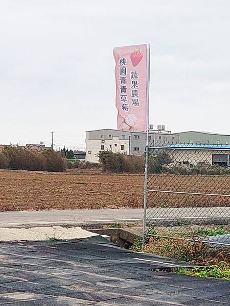 桃園青青草莓蔬果農場