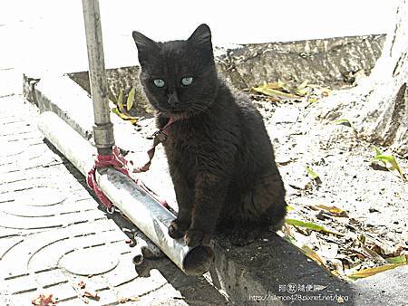 臭臉 臭臉