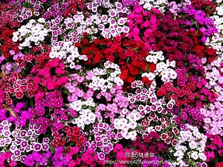 春 春