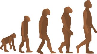 人類演化,進化論