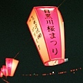 目黑川夜櫻04.jpg