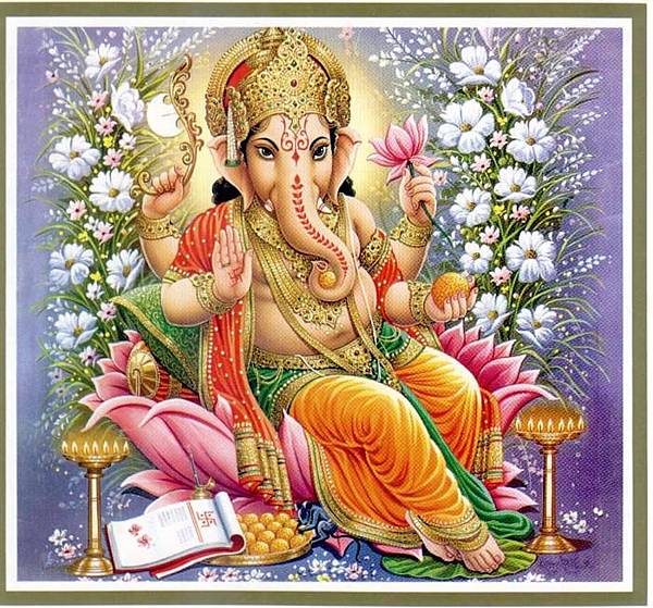 IMG_0763.JPG IMG_0763.JPG