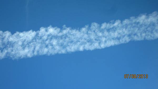 IMG_3544 IMG_3544