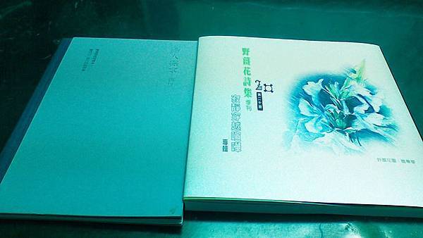 沈眠〈馬賽克抒情者的華麗分身表演──閱讀德尉第三詩集《戀人標本》〉在《野薑花詩集季刊》第二十期.jpg 沈眠〈馬賽克抒情者的華麗分身表演──閱讀德尉第三詩集《戀人標本》〉在《野薑花詩集季刊》第二十期.jpg