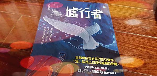 洪茲盈《墟行者》.jpg 洪茲盈《墟行者》.jpg