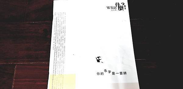 沈眠〈蛇行的時光〉在《什麼？！詩刊WhatPoetry》第四期.jpg