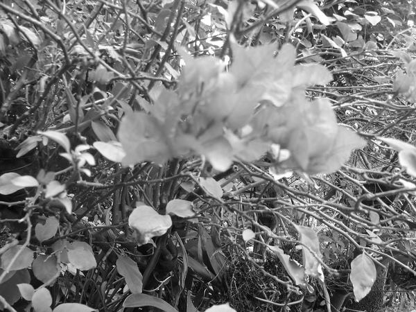 DSC00641.JPG DSC00641.JPG