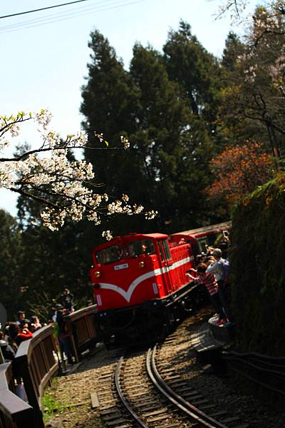 20160402-阿里山- (82)_派出所火車.jpg