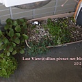 20120327 162756 Succulents