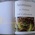 Aeonum 