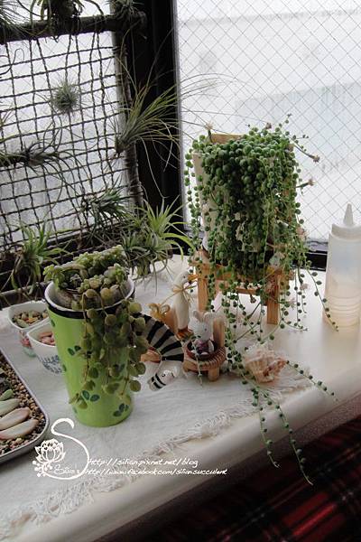 20120222 152452 .JPG