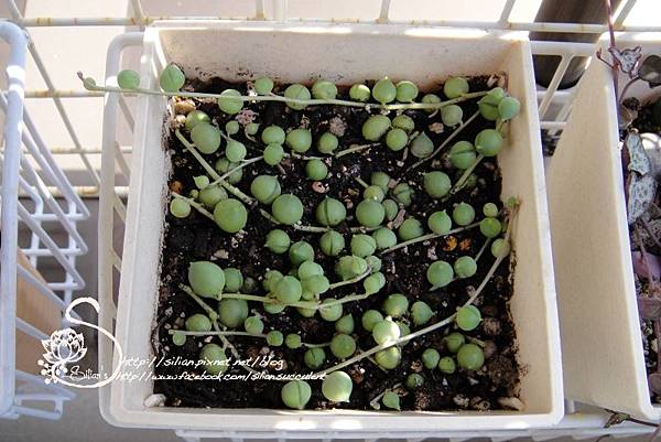 20110520 134822 .JPG