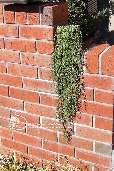 20131108 131025 .JPG