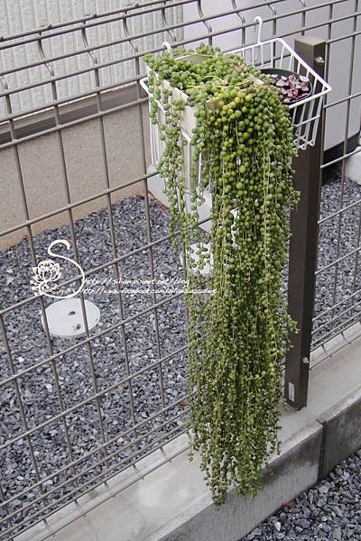 20140622 165948 .JPG