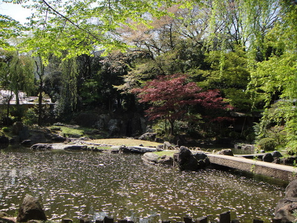 日式庭院