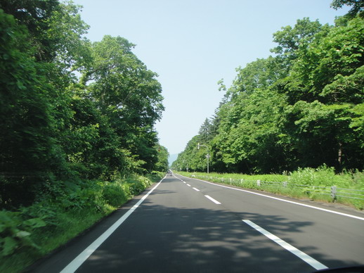 往支笏湖的路上很多又直又長的道路~ 