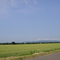 北海道一望無際的田野風光~