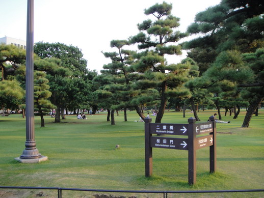 草地上很多人在休息和野餐喔~