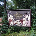 TEDDY BEAR MUSEUM