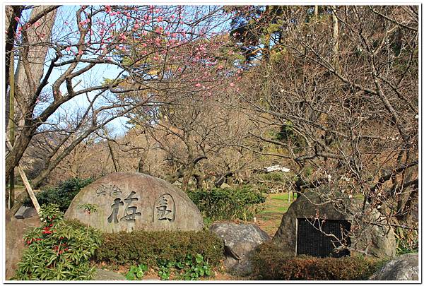 在伊豆半島尋找舞孃的第一天 在伊豆半島尋找舞孃的第一天